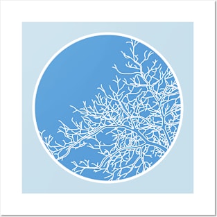 Winter Tree (large, no leaves, blue fill) Posters and Art